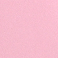 Where are you rosa?