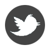 twitter_logo_footer